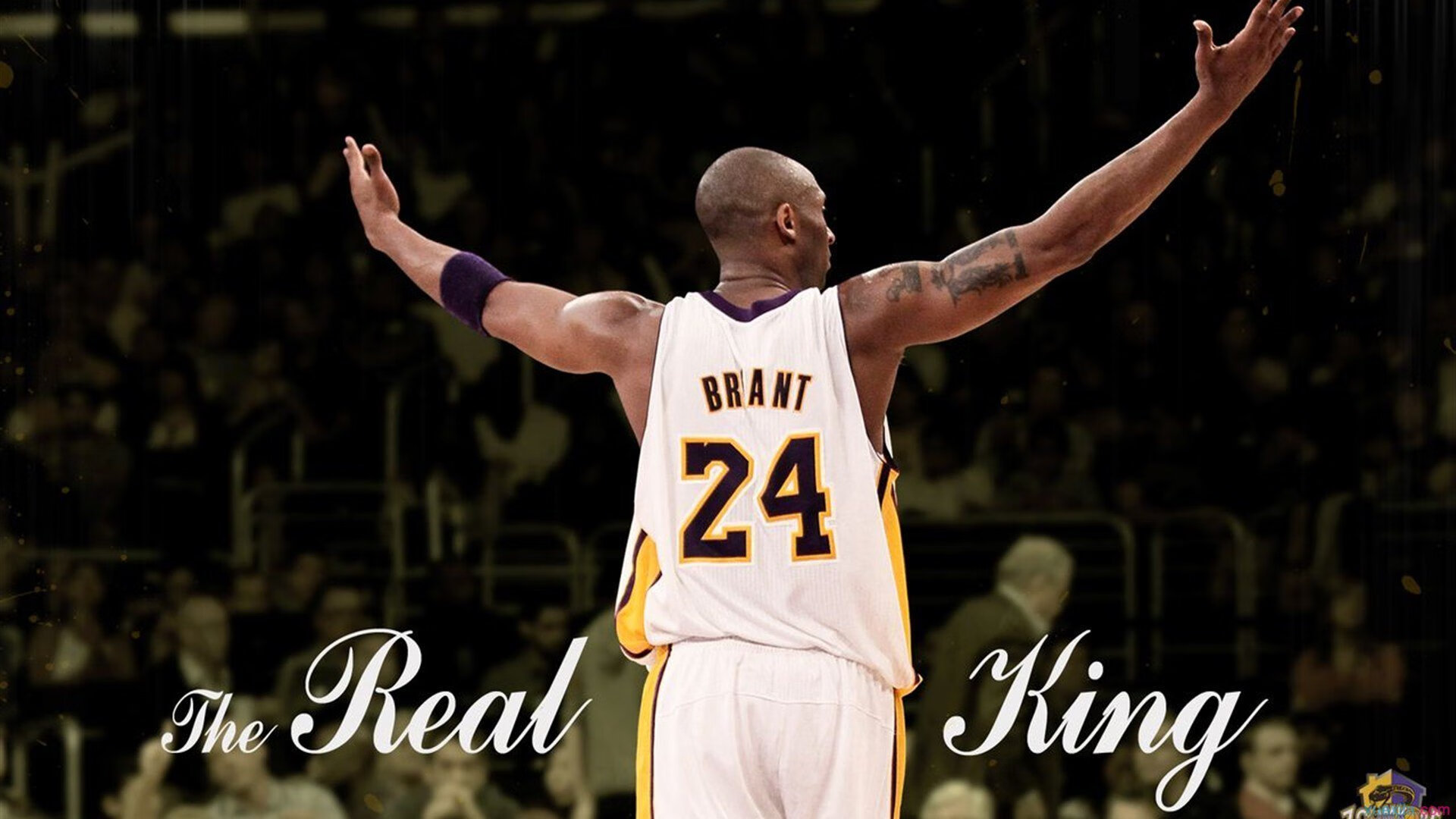 开云官网-拉塞尔的烈焰,梅赛德斯横扫法拉利背后的唯一性胜利